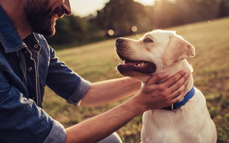 Surprise and delight your customers through agent empowerment to foster brand loyalty, increase satisfaction - Young Man and His Labrador