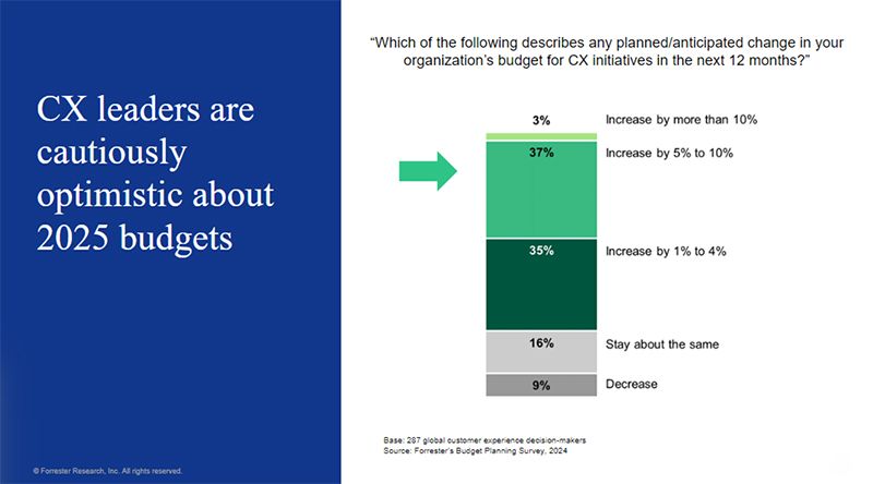CX Leaders are cautiously optimistic about 2025 budgets data