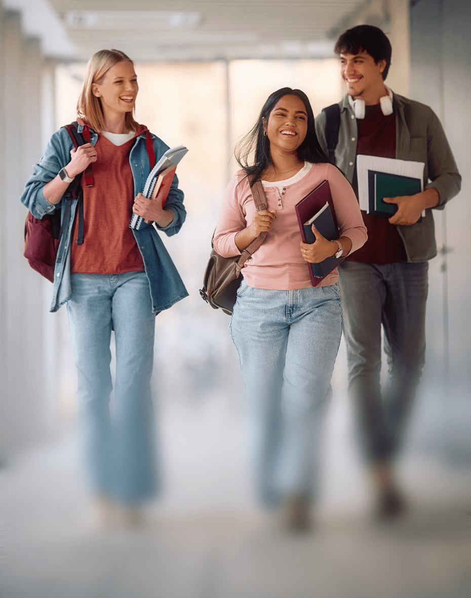 Student experience workbook